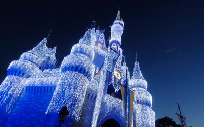 Thank You and Happy Holidays from Extra Magic Trips!