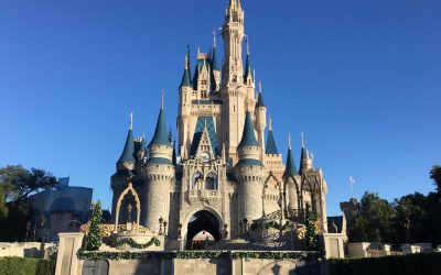 5 exciting things that happened at the Walt Disney World® Resort in 2016