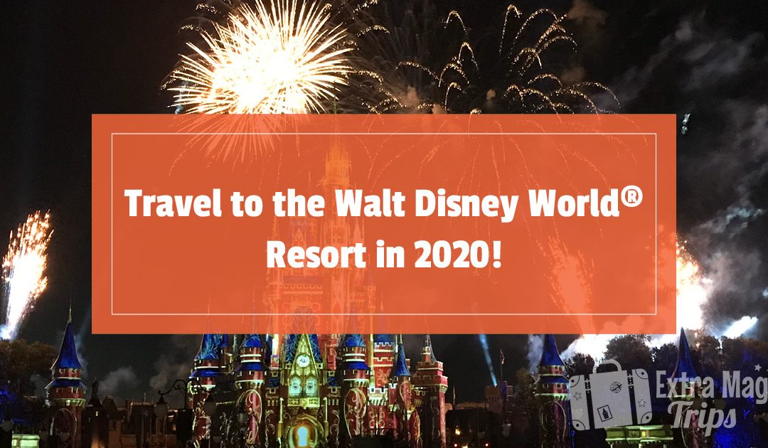 Travel to the Walt Disney World® Resort in 2020!