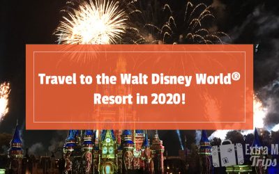 Travel to the Walt Disney World® Resort in 2020!